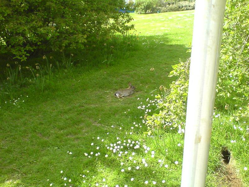 Climbing Out of Your Burrow: Read New&nbsp;Things!